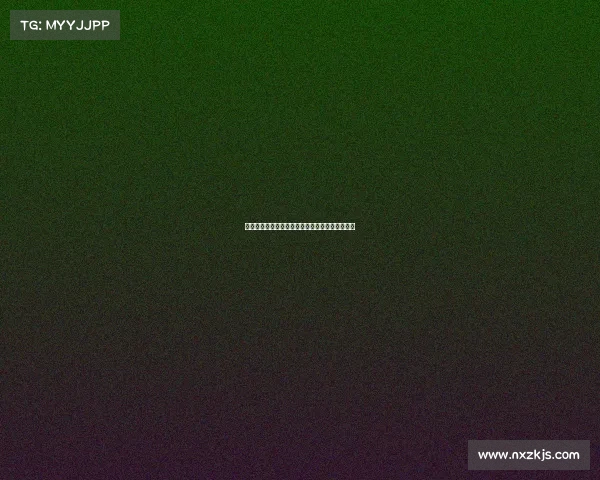 法甲新星崛起潜力球员盘点未来巨星的摇篮与挑战